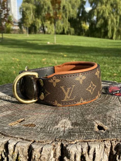 louis vuitton dog collar medium|luxury dog collars louis vuitton.